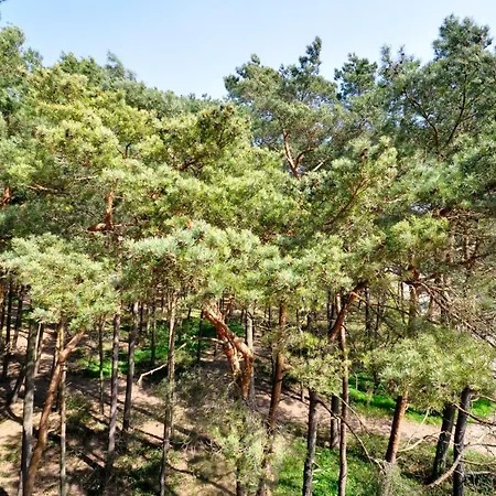 Powaga Bed and breakfast Łeba