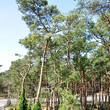 Nocleg ze śniadaniem Powaga Łeba