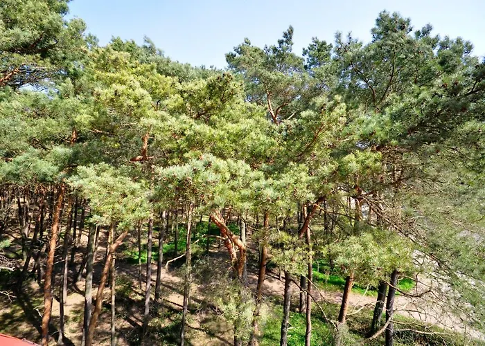 Powaga Bed & Breakfast Leba