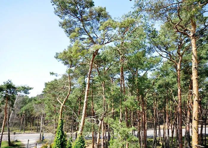 Bed & Breakfast Powaga Leba